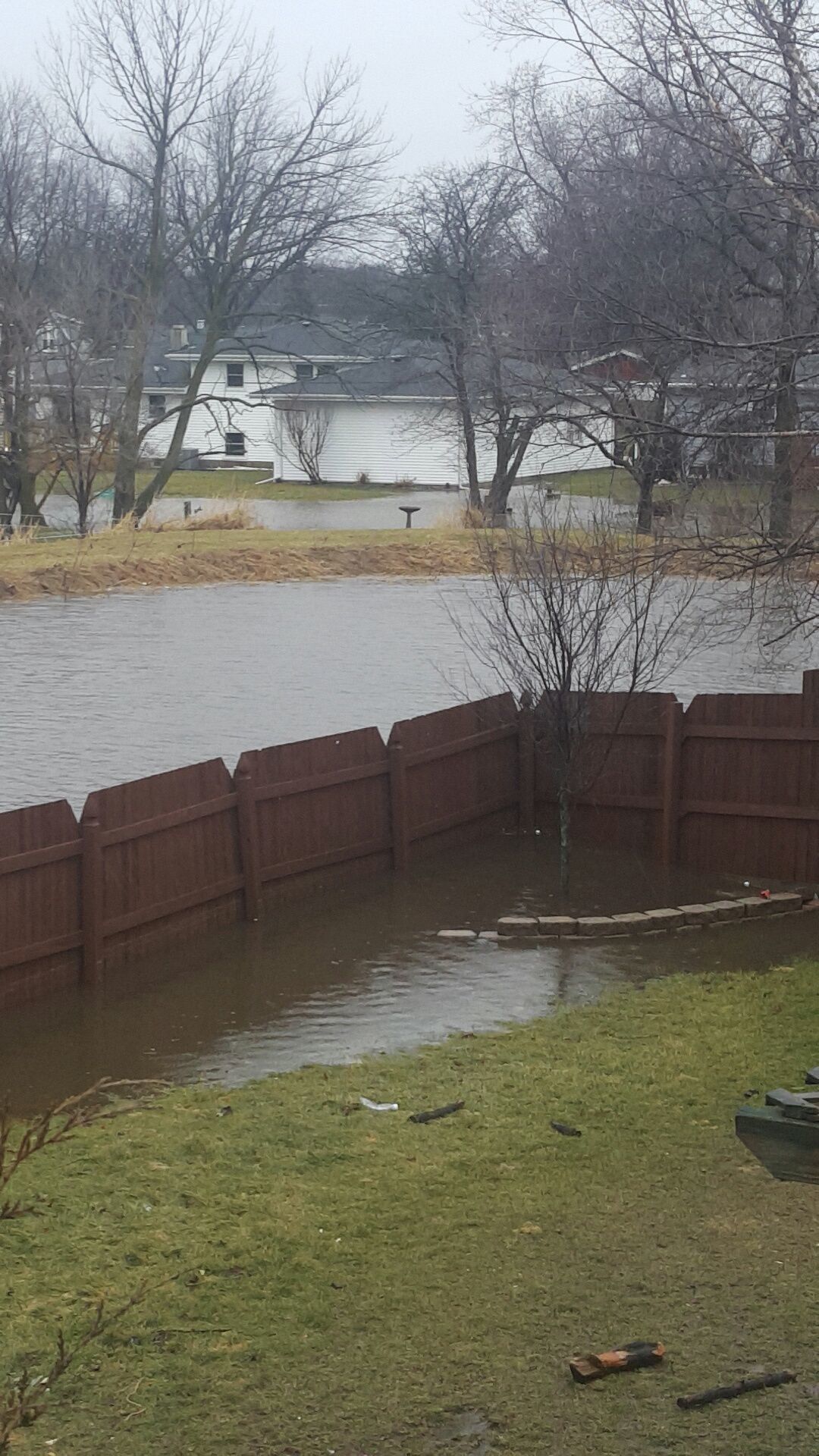 Flood